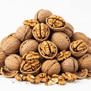 Fresh natural walnuts in shell with consistent quality available in bulk <b>packaging</b> for global wholesale and international trade - Product Image 4