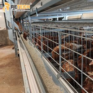 50,000 ציפורים ציוד לגידול עופות פלדה מגולוונת בחום האכלה אוטומטית איסוף ביצים כלובי סוללה מסוג H ללול תרנגולות - Product Image 3