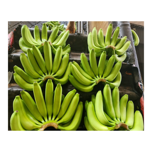 กล้วยเขียวเหลืองส่งตรงจากเวียดนาม - Product Image 3