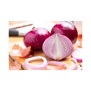 Top Selling Premium Quality New Crop Fresh Vegetables Fresh Red Onion at Factory Price from Egypt