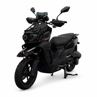 Moto électrique de tourisme Leshuai 2000W 60V 65-70km/h tout-terrain Hebei avec une longue autonomie