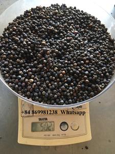 พริกไทยดำแห้งคุณภาพสูง 100% จากธรรมชาติ ขนาดใหญ่ 500 กรัม ขายดี |   คุณลินน์ +84869981238 - Product Image 5