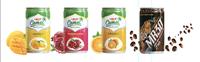 Best Seller Camel Vietnam 330ml Jus d'orange prêt à boire Concentré de jus de fruits aux saveurs de mangue et de noix de coco à base d'eau