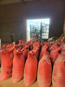 ผงธูป - Product Image 6