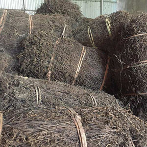 ใบเจลลี่สำหรับทำขนมสดชื่นทำจากหญ้าเจลลี่แห้ง - Product Image 6