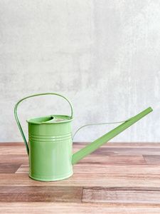 Bidon d'eau galvanisé avec un design élégant et une poignée ergonomique pour une expérience d'arrosage lisse et pratique - Product Image 6
