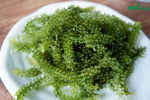 Uvas de mar deshidratadas/Algas vietnamitas delicadas/marinadas en agua salada envasadas en paquete de 100g - Product Image 3