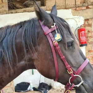 Brida de caballo de cuero Premium Estilos ingleses occidentales personalizados Brida de equitación de cuero genuino Proveedor al por mayor tendencia 2025 - Product Image 1