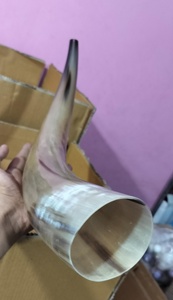 Cuerno de búfalo doméstico 100%, cuerno de trompeta de juguete, acabado decorativo con agujero de soplado, característica de Animal de estilo vikingo ecológico - Product Image 6