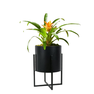 Macetas de Metal para interiores con acabado dorado Allura de alta calidad, soporte de diseño martillado para jardín doméstico, incluye paquete decorativo para suelo - Product Image 2