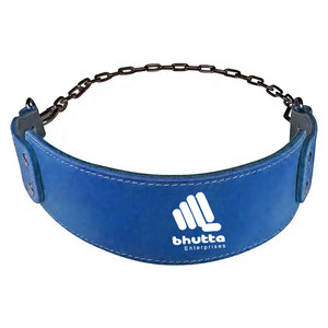 เข็มขัดยกน้ำหนักแบบปรับได้พร้อมโลโก้ สำหรับฝึกความแข็งแรง เพาะกาย รองรับหลัง ยกน้ำหนัก ดึงข้อ และดิปอัพ - Product Image 1