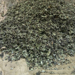 Resina de extracto de hierbas silvestres (Passiflora Foetida) - Product Image 3