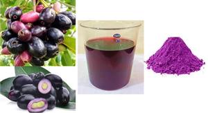 Polvo de uva negra seca por pulverización de grado de alimentos orgánicos cultivado salvaje con embalaje de logotipo personalizado Extracto de planta Natural polvo de fruta - Product Image 5