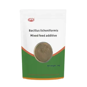 جودة جيدة درجة تغذية البكتيريا البروباتية Bacillus licheniformis تشجيع التكاثر من البكتيريا المفيدة في الأمعاء