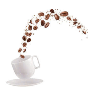 โรบัสต้าเมล็ดกาแฟแบบเปียกขัดเงาคุณภาพระดับพรีเมี่ยม - Product Image 3