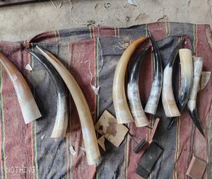 Viking Mug Drinking for Molding Brass Rim With Horn Stand for Sale <b>Best</b> Quality Buffalo Ox Drinking Horn <b>Natural</b> agate - Product Image 1