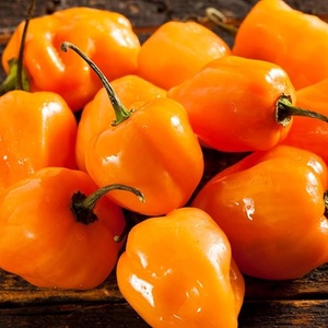 Suministro al por Mayor de Chile Habanero Seco y Triturado Natural para Sazonar, Importadores Internacionales, Distribuidores Mayoristas - Product Image 3