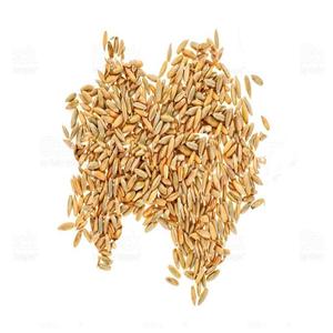 Natural Yellow Wheat <b>Grain</b> Bulk Export Offering Clean Wheat <b>Grain</b> Carefully Graded For International Trade Supply - Product Image 5