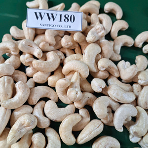 Wholesale In Bulk Cashew Kernels W180 SANTIGO Kaju Badam W180 Cashew <b>Nuts</b> Service 24/7 - Product Image 1