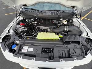 F-150 XL 4x4 2025, 760 Millas, Motor Coyote V8, Supercargador Whipple, Tracción en las 4 Ruedas - Product Image 6