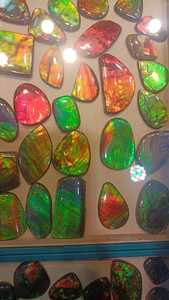 Magnifiques pierres précieuses naturelles en ammolite, polies, de forme libre, coupées, colorées, pour la fabrication de bijoux, cadeau de fiançailles - Product Image 6