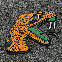 Parche Bordado de Chenilla con la Mascota de la Universidad de Florida A&M (FAMU), Diseño de Flor 3D con Cuentas, Tela Tejida de PVC, Estilo Termoadhesivo