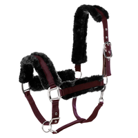 Licol équestre en cuir de haute qualité avec peau de mouton avec boucles et raccords en laiton massif produit pour chevaux équipement pour chevaux