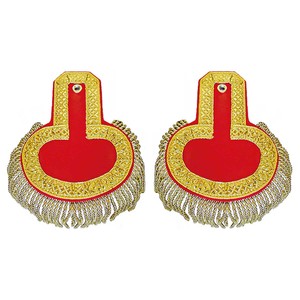 Épaulettes colombiennes avec franges en cordon argenté, fil de bullion brodé, tissu de haute qualité, toile personnalisée à coudre - Product Image 5