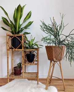 Handcrafted Design Rattan Planter Basket Indoor and Balcony Decoration Flower <b>Pots</b> <b>Mini</b> <b>Plant</b> Containers - Product Image 3