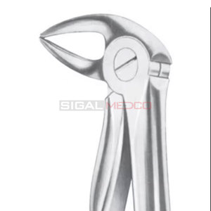 Fig. 33 Racines inférieures Forceps d'extraction de dents de différentes tailles Dental Medic Instruments Prix de gros Fournisseur en gros - Product Image 6