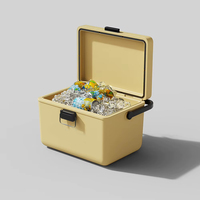 Glacière isotherme portable moderne en plastique PP de 12 L, personnalisable OEM/ODM, pour pique-nique et camping, fabriquée en Chine