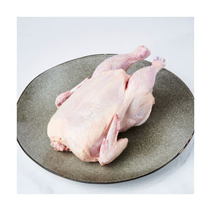 Cuerpo de pollo congelado entero saludable de Brasil HALAL sin piel 1600G empaquetado a granel - Product Image 1
