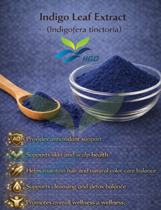 Approvisionnement direct d'usine HGO d'extrait pur et naturel de feuille d'indigo (Indigofera tinctoria L.) en poudre de qualité alimentaire, extrait de pollen végétal - Product Image 3