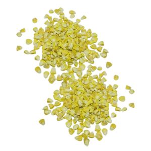 Semillas de Maíz Dulce BCA Premium, Híbrido F1 de Alta Calidad para Agricultura Profesional y Venta al por Mayor desde Indonesia, 6 Meses de Vida Útil - Product Image 3