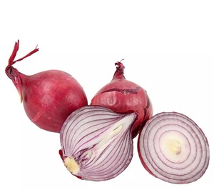 Cebolla Roja Orgánica del Reino Unido Recién Exportada en Bolsas de Malla Sin Pelar Redonda 18 kg Vida Útil de 6 Meses - Product Image 3