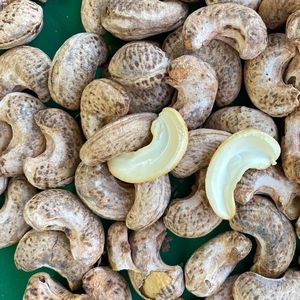 Anacardos de muestra orgánicos de 1kg de anacardos W240 A180 W320 de Vietnam, proveedor de confianza - Product Image 1