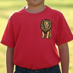 Camiseta Polo de Manga Corta con Cuello Redondo para Niño, Informal, de Algodón Peinado Premium 100%, Tejido Grueso, Bordado Personalizado, Varias Tallas - Product Image 5