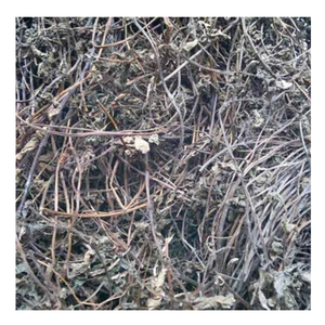 Gelatina de hierba seca, hoja seca de Platostoma Palustre/hoja de gelatina de hierba fresca natural seca con alta calidad - Product Image 4