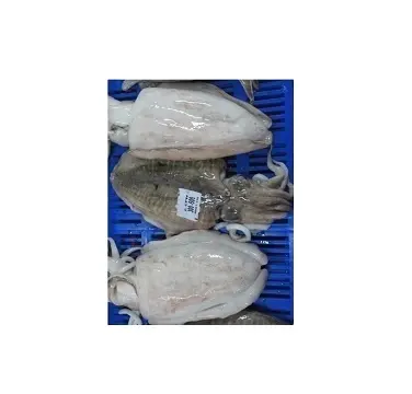 Seppie congelate filetti di pesce intero di seppie e seppie per bambini imballaggi puliti interi alimenti biologici