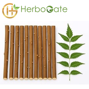 The Weekend Wellness Miswak Pack - 2 bâtonnets pour un essai de soins bucco-dentaires naturels Parfait pour les débutants curieux de Sewak - Product Image 4