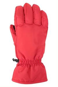 Haute meilleure qualité taux compétitif hiver neige gants d'hiver chaud hommes coupe-vent imperméable pour gants de Ski meilleure qualité faible taux - Product Image 4