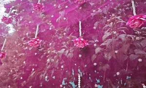 Toldo Nupcial de Tela de Red con Guirnaldas de Borlas de Perlas, Toldo Nupcial Ecológico con Flores para Entrada de Boda, Dulhan Chadar - Product Image 5