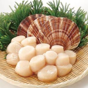 เนื้อหอยเชลล์แช่แข็ง,เนื้อหอยเชลล์แช่แข็งแสนอร่อยในเวียดนามอาหารทะเลคุณภาพสูงเนื้อหอยเชลล์แช่แข็ง - Product Image 1