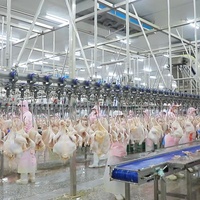 Distributeur automatique d'abattoir,, maison d'abattoir à poulet, équipement d'abattoir