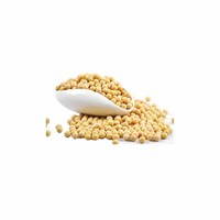 Grains de soja crus de bonne qualité sans OGM de haute qualité en sacs graines de soja en vrac organiques