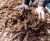 Paillis de copeaux de bois naturels – Paillis de jardinage haut de gamme pour la couverture du sol et une utilisation décorative