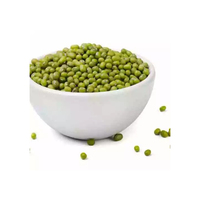 Haricots Mung Verts Brésiliens Séchés 100% Biologiques de Qualité Supérieure en Vrac 10kg au Prix de Gros
