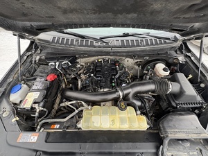 FORD EXPEDITION LIMITED STEALTH EDITION 2021 USADO (LHD/RHD) - Product Image 6