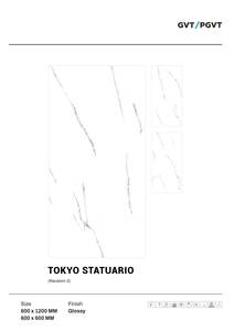 Fabricant indien de carreaux de sol en marbre, porcelaine, glaçure brillante 60x60 60X120 avec emballage digne d'exportation - Product Image 5