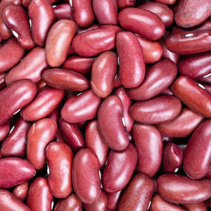 Stock prêt de haricots rouges peu endommagés et transformés pour une livraison rapide dans un emballage en vrac - Product Image 6